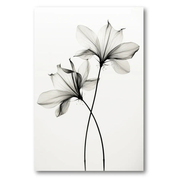 Whispers of Petals Photo Print
