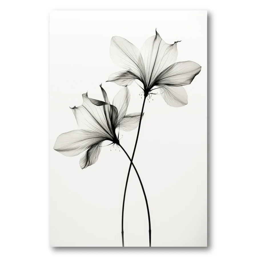 Whispers of Petals Photo Print
