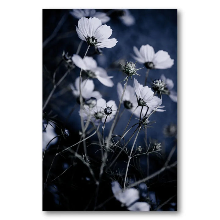 Wild Flowers 10 Photo Print