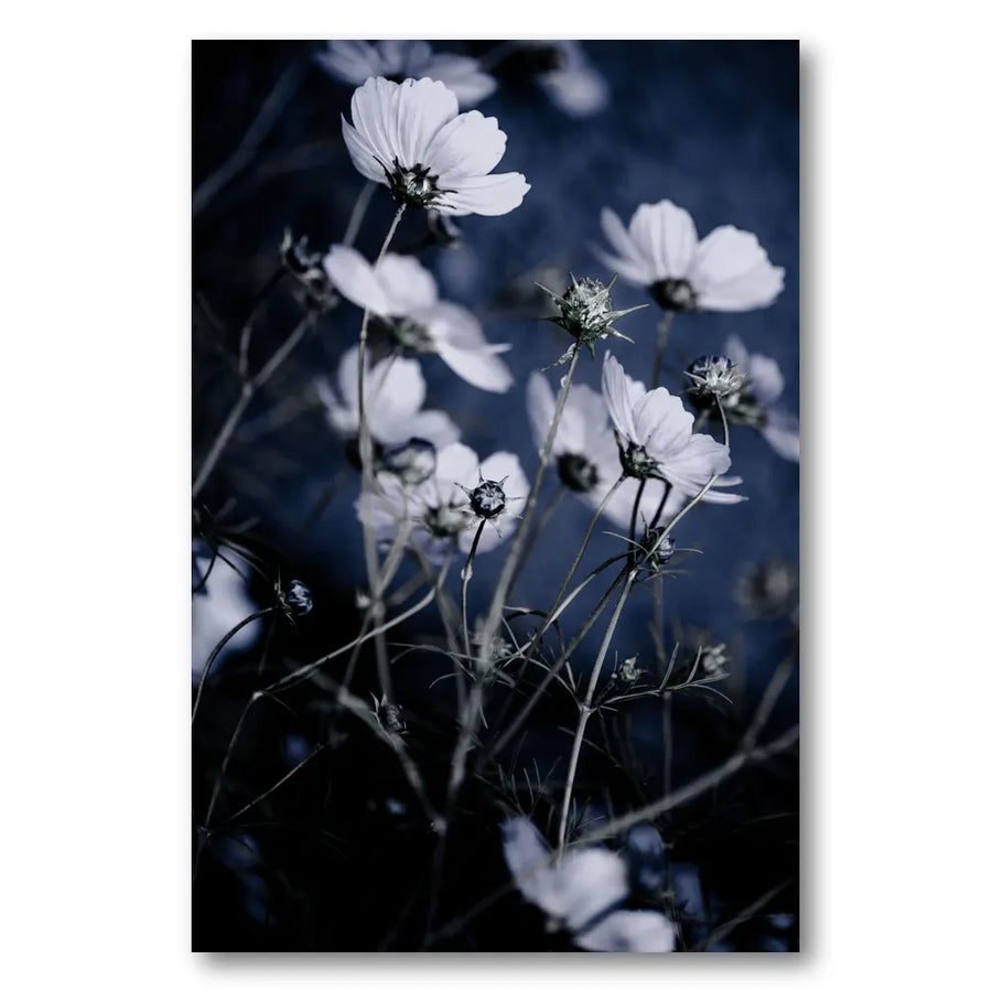Wild Flowers 10 Photo Print