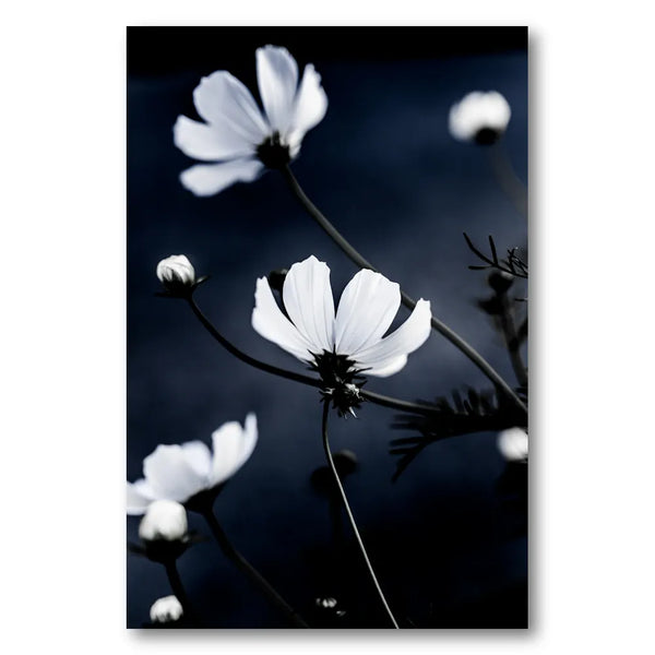 Wild Flowers 1 Photo Print