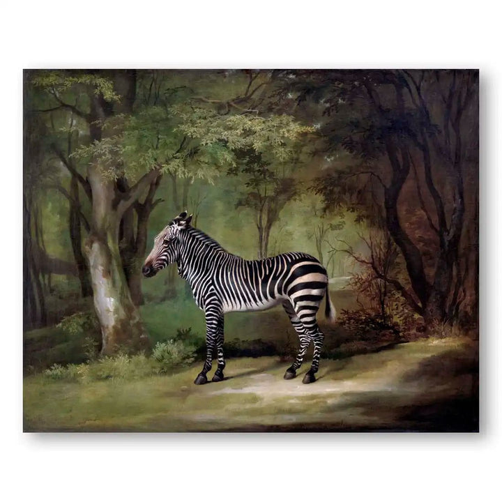 Zebra by George Stubbs Art Print