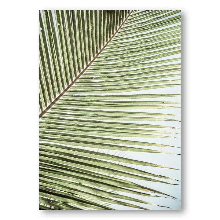 Zig Zag Palm Leaves Photo Print