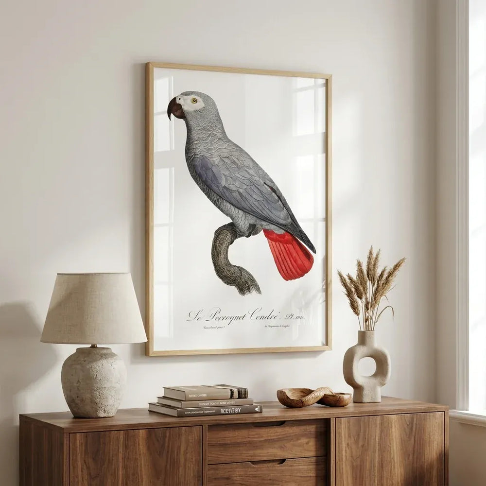 Room mockup featuring African Grey Parrot Vintage Bird Print