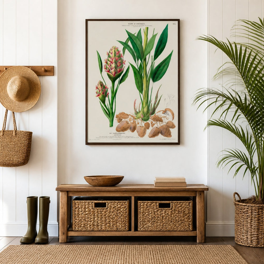 Amomum Ginger Vintage Botanical Art Print in a styled room