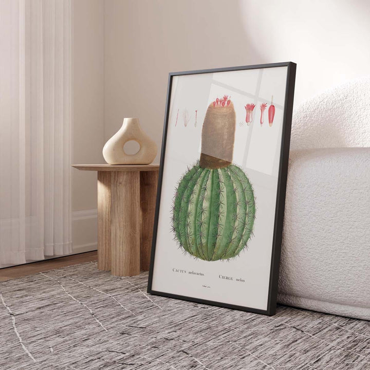 Desert Jewel Cactus Art Print