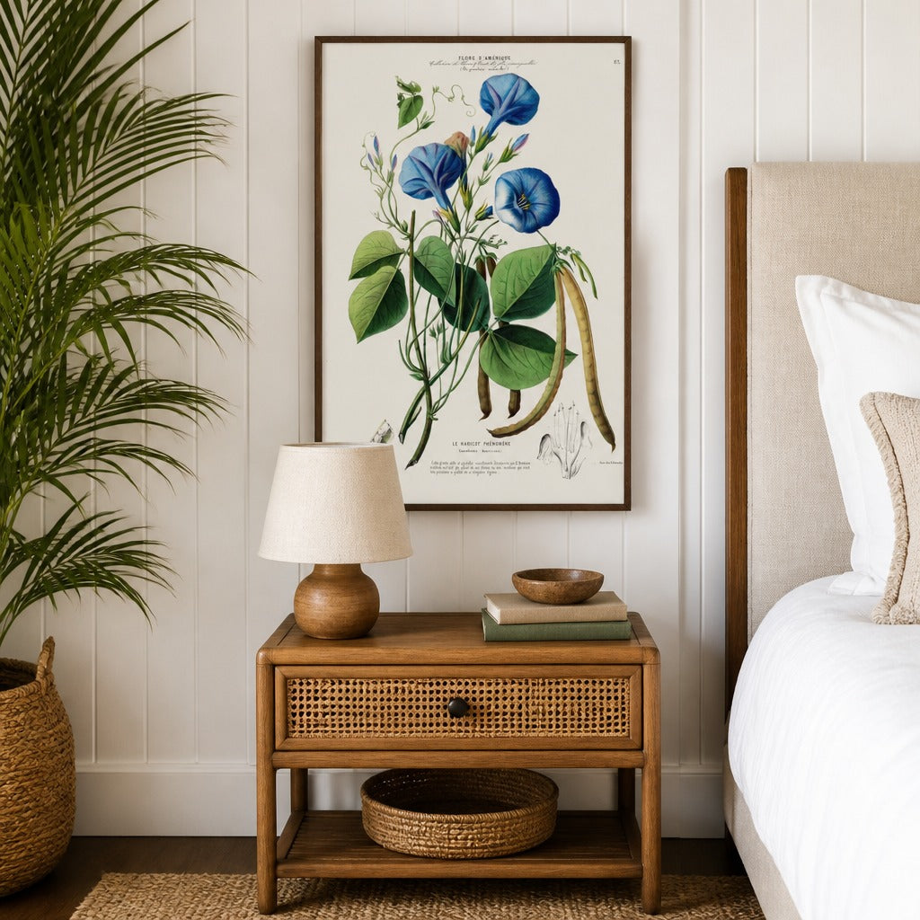 Blue Morning Glory Vintage Botanical Art Print in a styled room