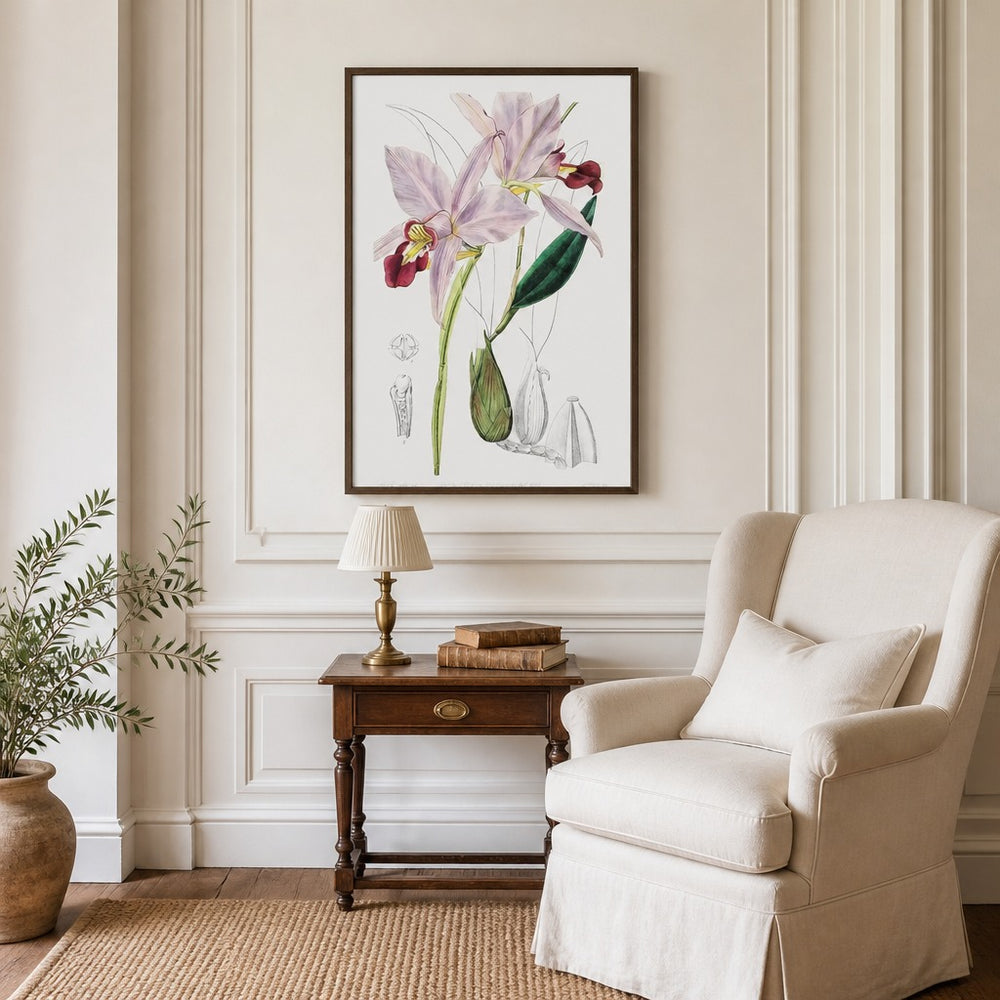 Bordered Dwarf Cattleya Vintage Flower framed in a traditional home