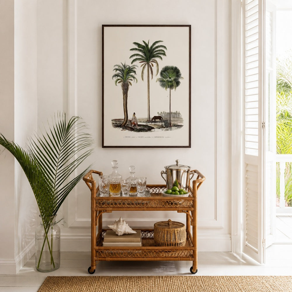 Brazilian Palms No. 1 vintage palm art print framed in a white island plantation house