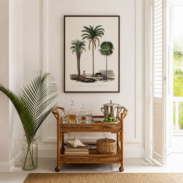 Brazilian Palms No. 1 vintage palm art print framed in a white island plantation house