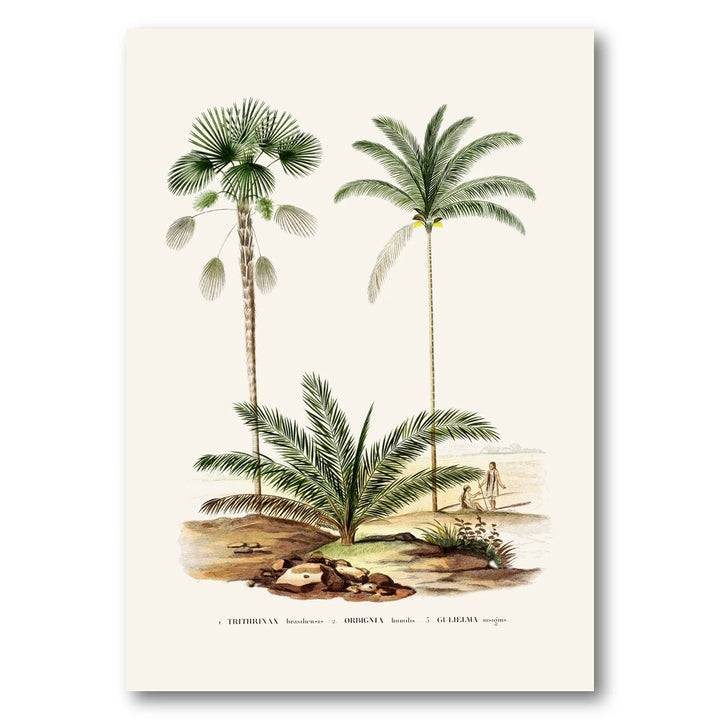Brazilian Palms No. 10 Art Print