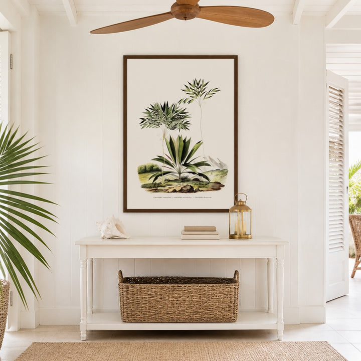 Brazilian Palms No. 11 vintage palm art print framed in a white island plantation house