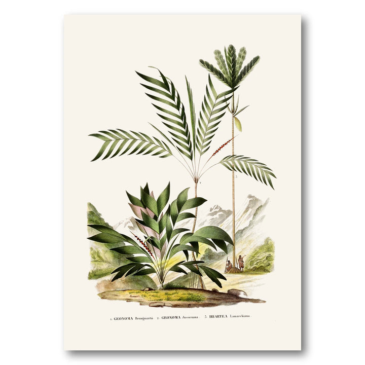 Brazilian Palms No. 12 Art Print