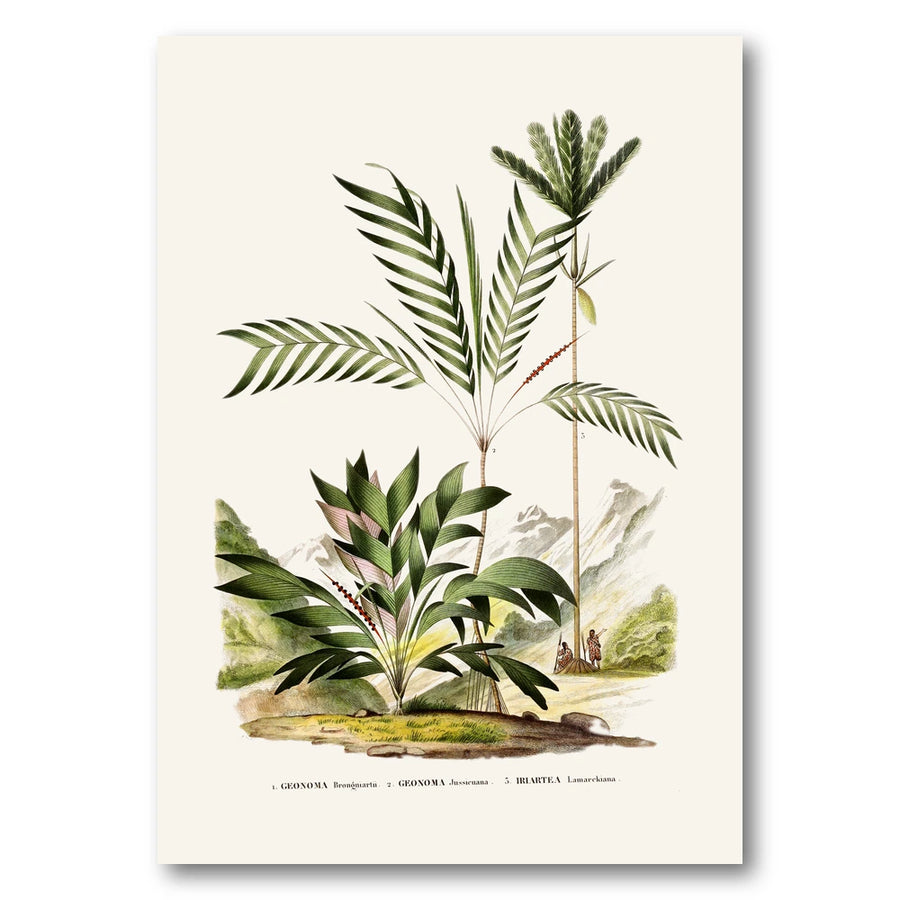 Brazilian Palms No. 12 Art Print