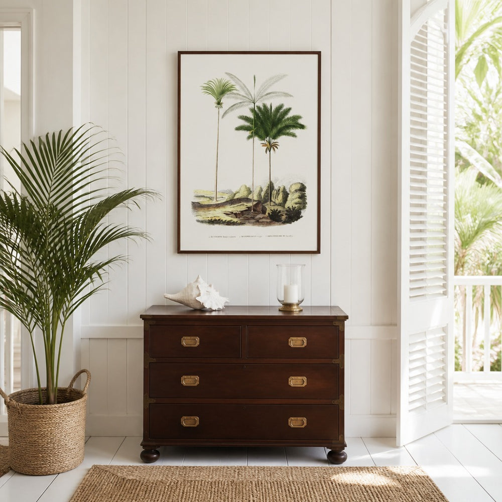 Brazilian Palms No. 15 vintage palm art print framed in a white island plantation house