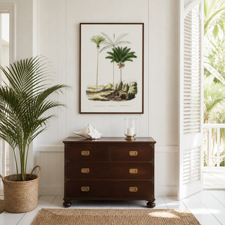 Brazilian Palms No. 15 vintage palm art print framed in a white island plantation house