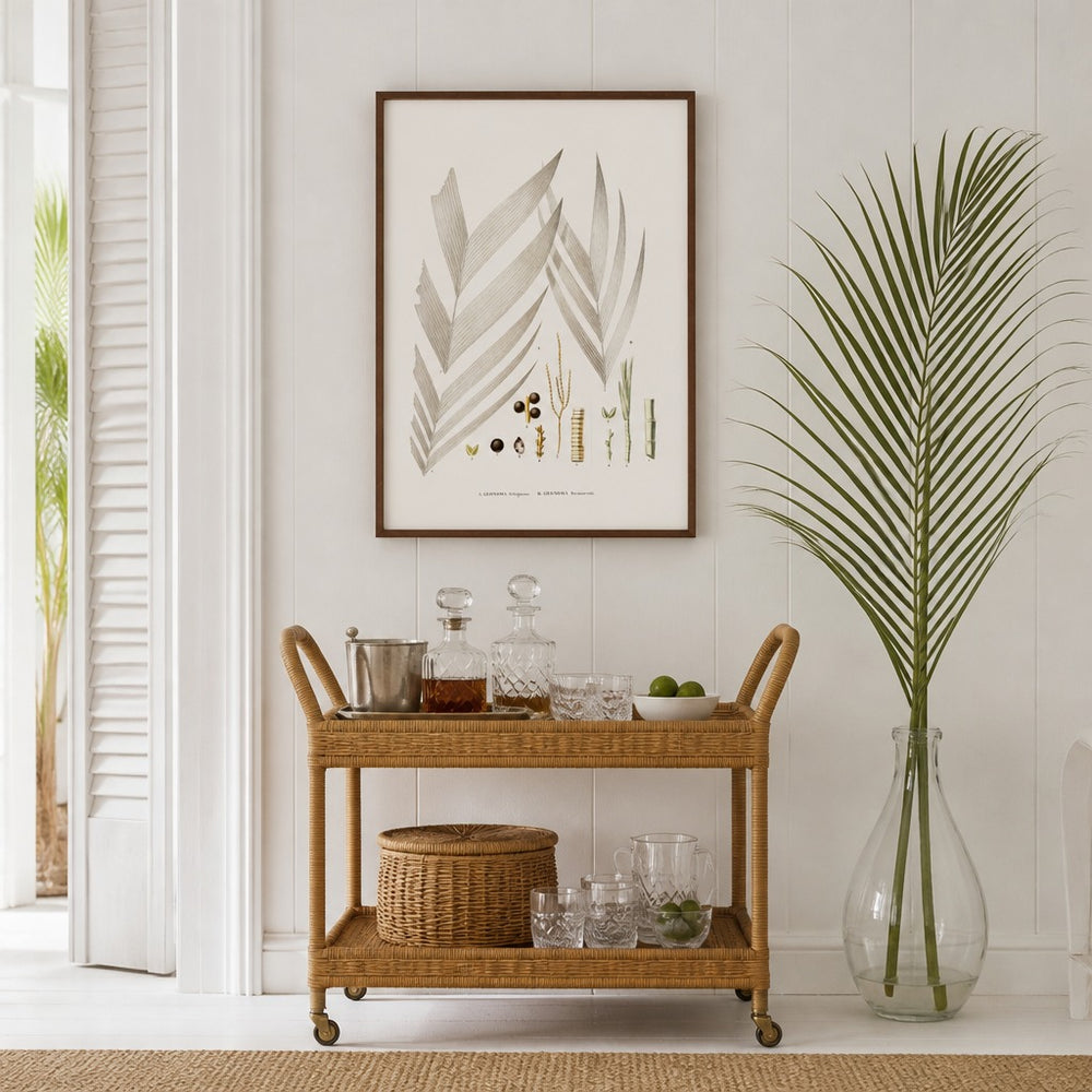 Brazilian Palms No. 17 vintage palm art print framed in a white island plantation house