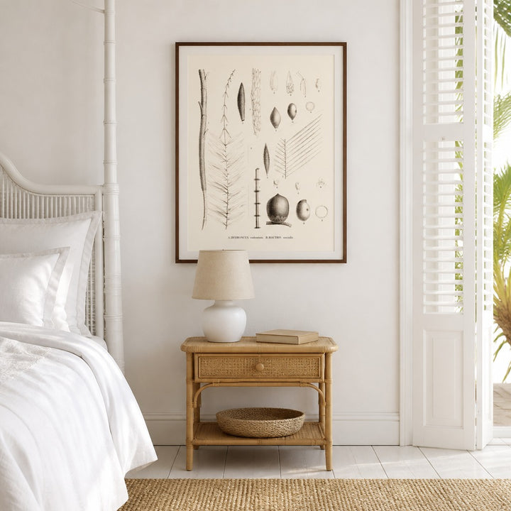 Brazilian Palms No. 21 vintage palm art print framed in a white island plantation house