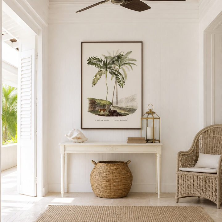 Brazilian Palms No. 3 vintage palm art print framed in a white island plantation house