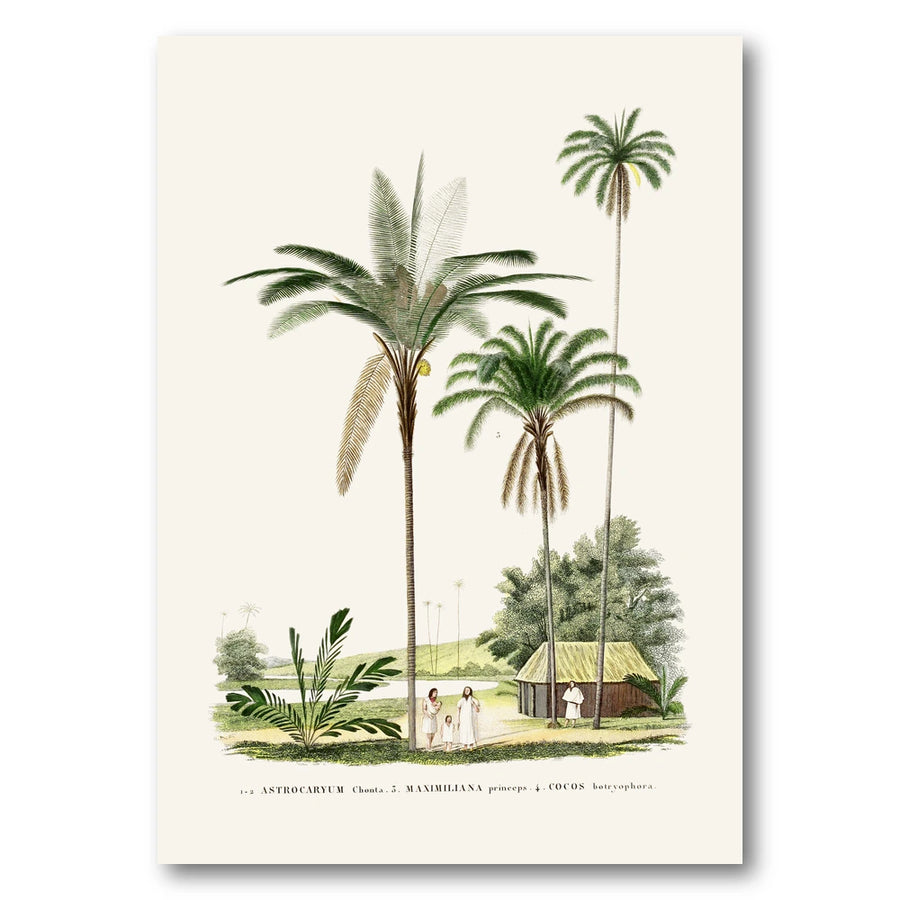 Brazilian Palms No. 4 Art Print