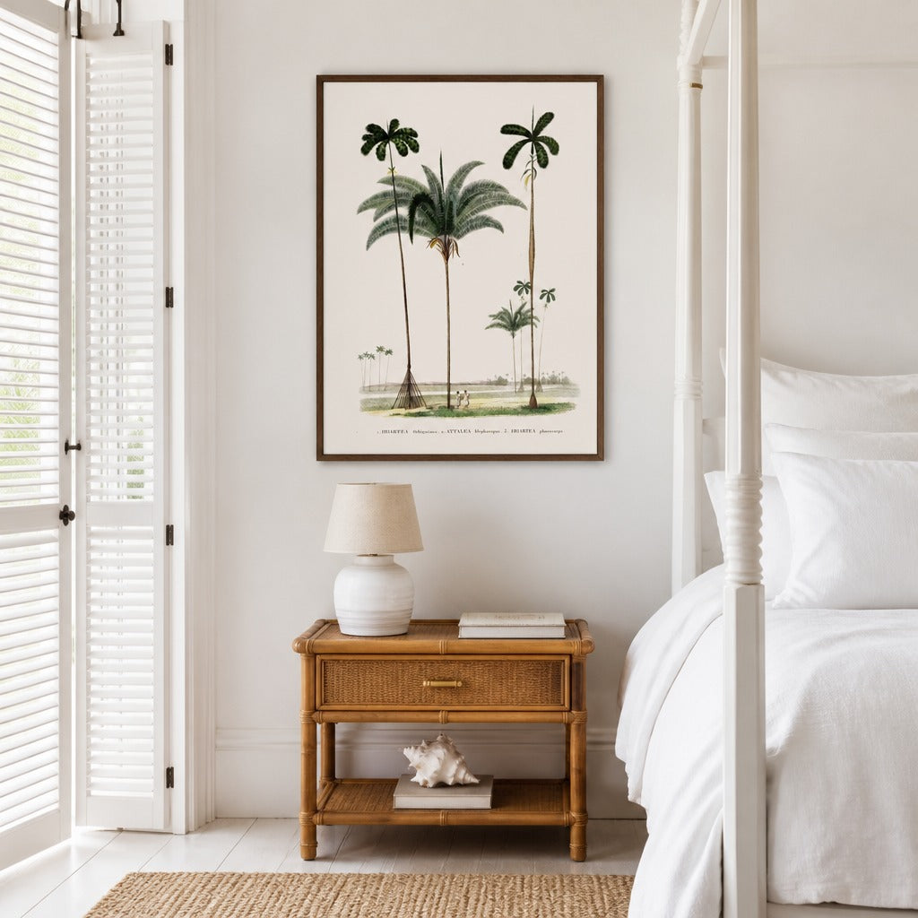 Brazilian Palms No. 5 vintage palm art print framed in a white island plantation house