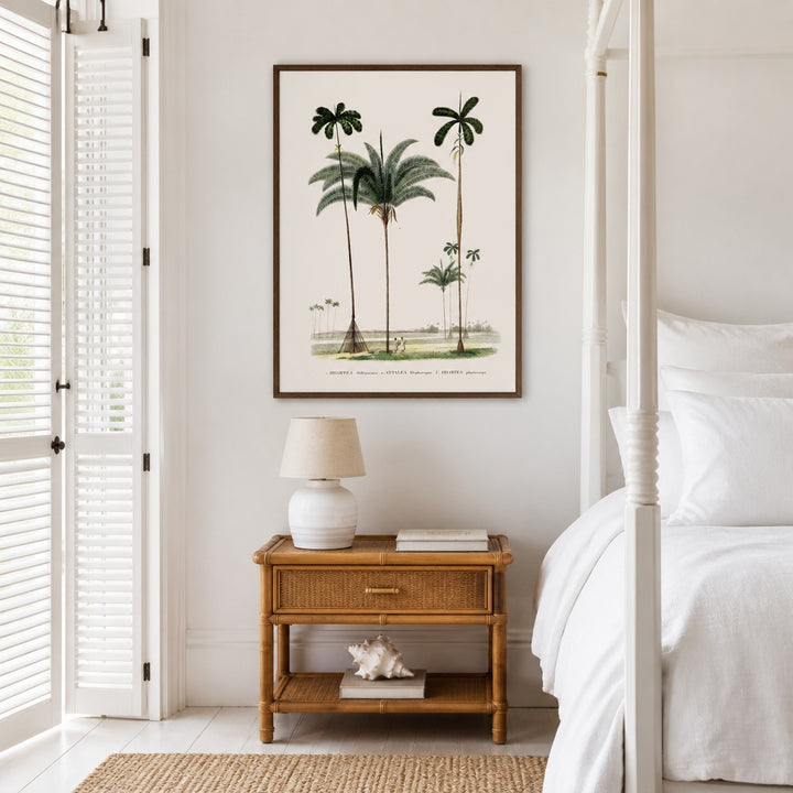 Brazilian Palms No. 5 vintage palm art print framed in a white island plantation house