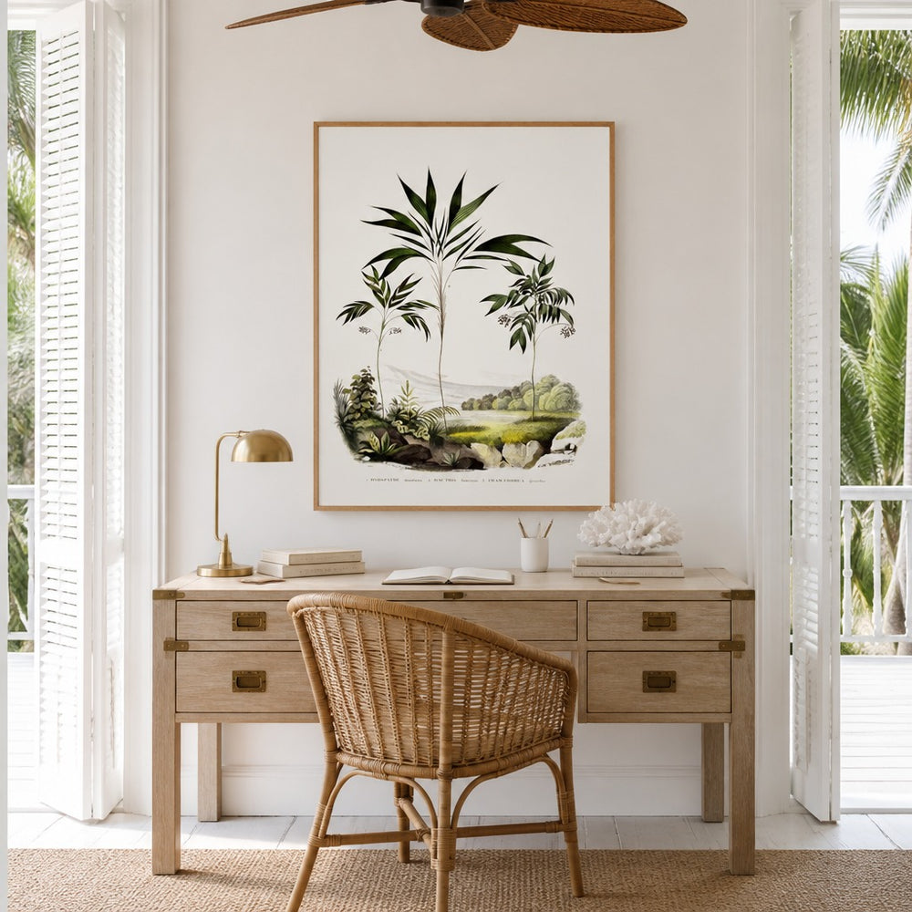 Brazilian Palms No. 6 vintage palm art print framed in a white island plantation house