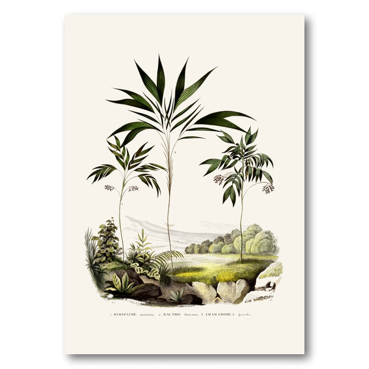 Brazilian Palms No. 6 Art Print