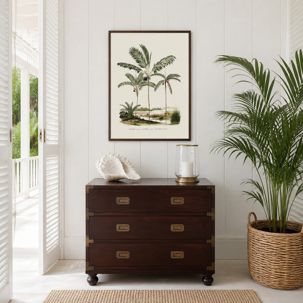 Brazilian Palms No. 7 vintage palm art print framed in a white island plantation house