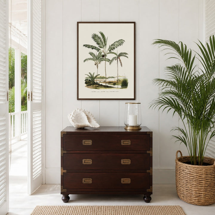 Brazilian Palms No. 7 vintage palm art print framed in a white island plantation house