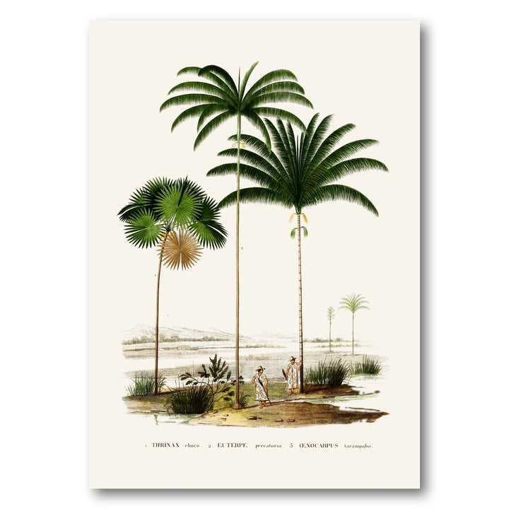 Brazilian Palms No. 8 Art Print
