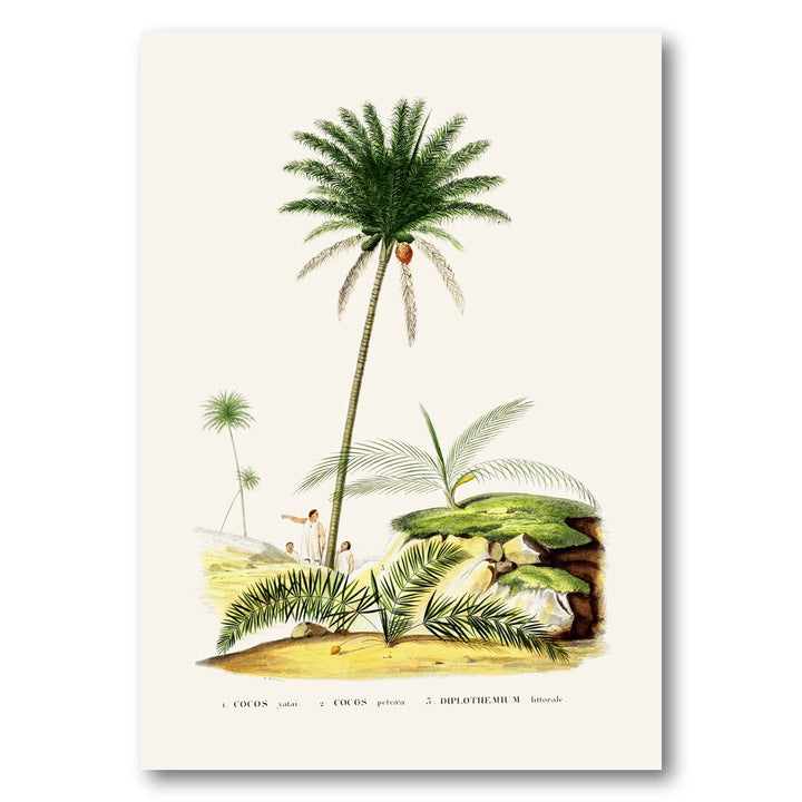 Brazilian Palms No. 9 Art Print