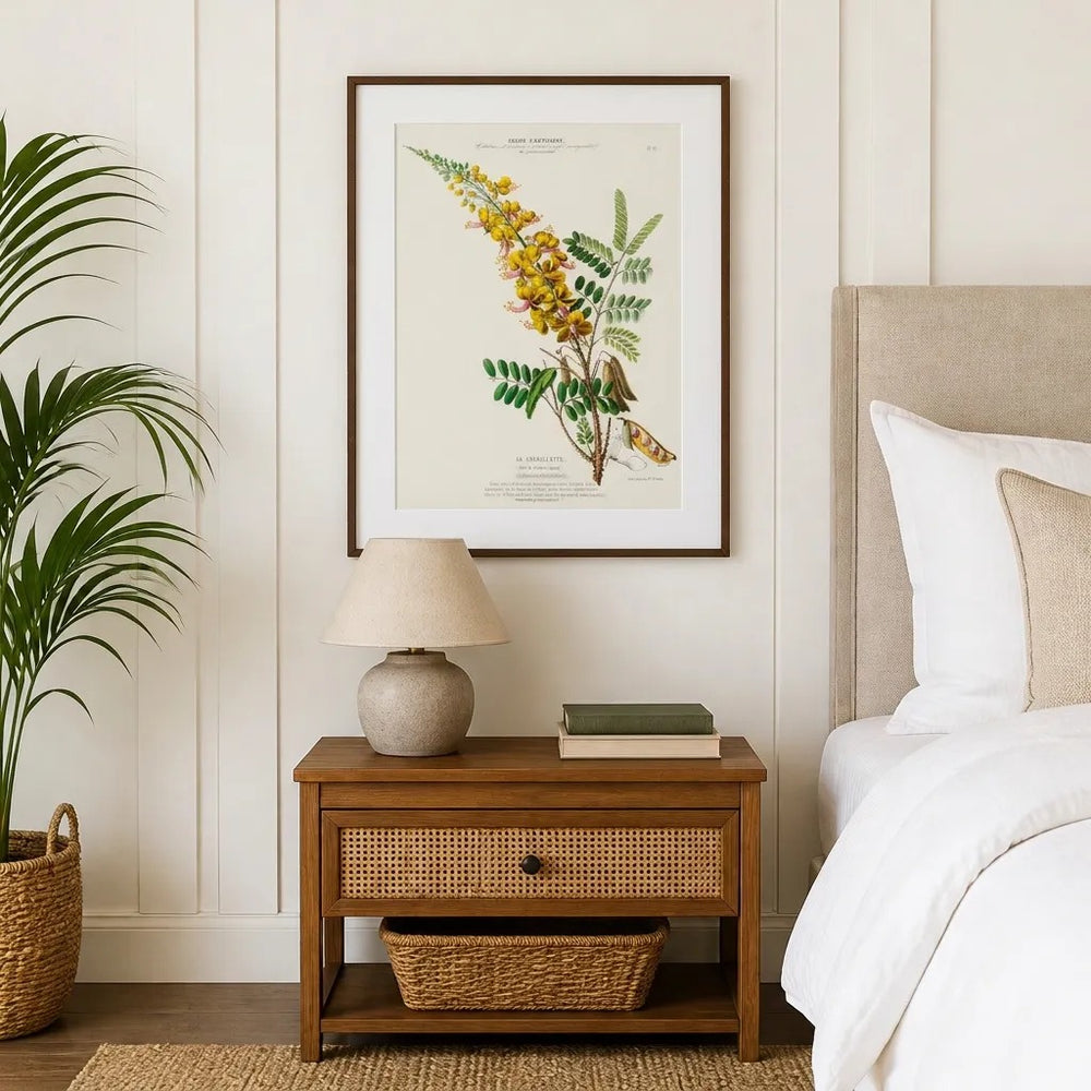Brazilwood Vintage Botanical Art Print in a styled room