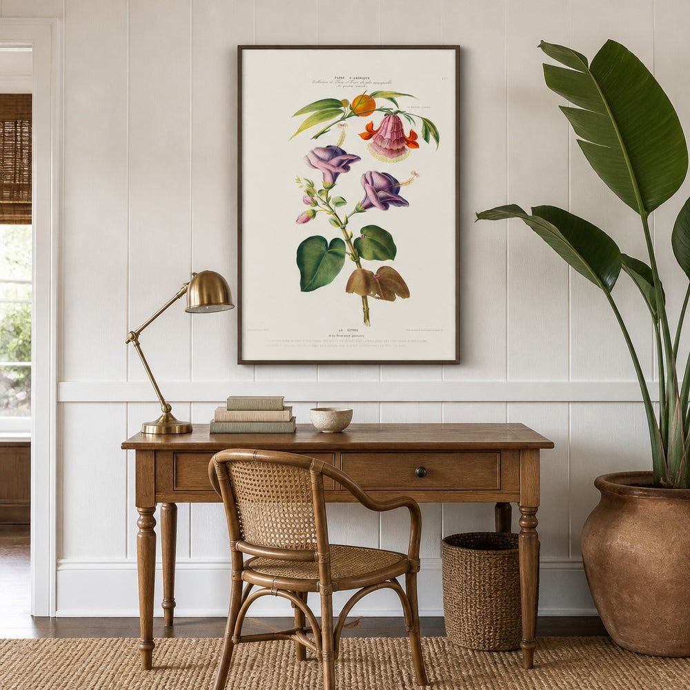 Brownea Vintage Botanical Art Print in a styled room