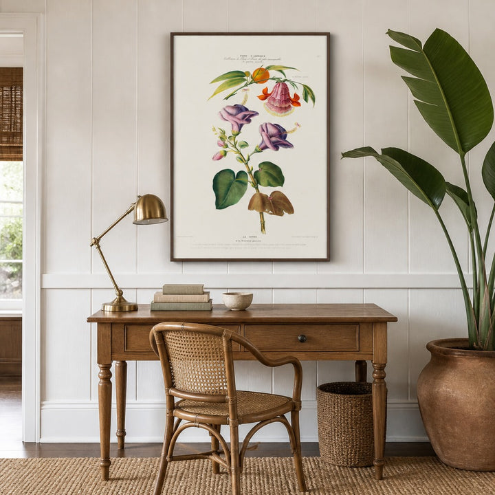 Brownea Vintage Botanical Art Print in a styled room