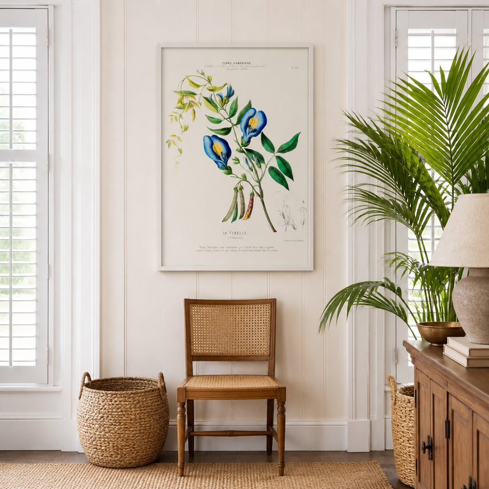 Butterfly Pea Vintage Botanical Art Print in a styled room