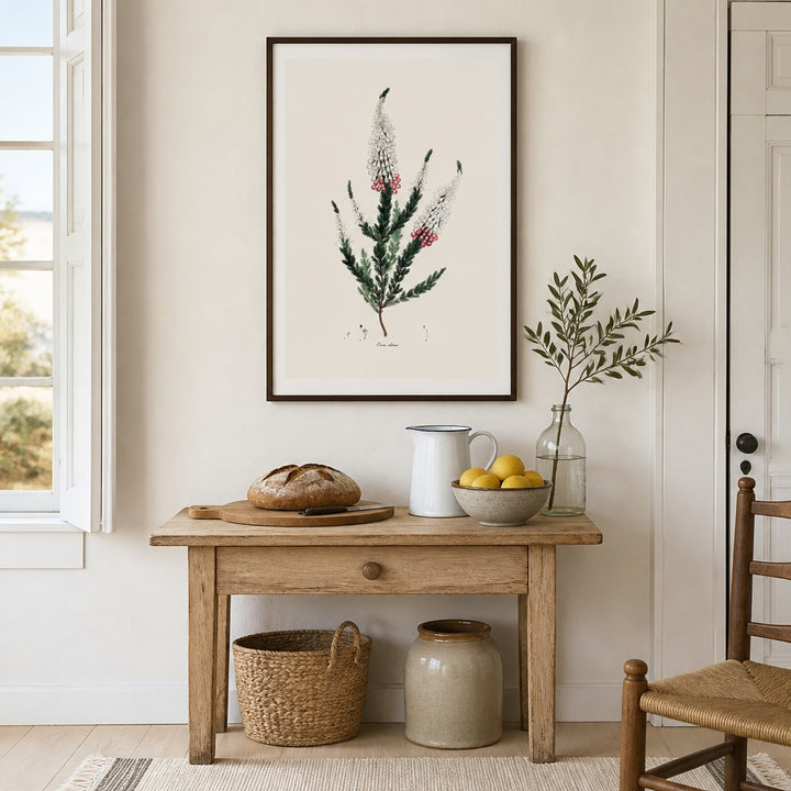 Erica colorans Cape fynbos art print framed in a South African farmhouse