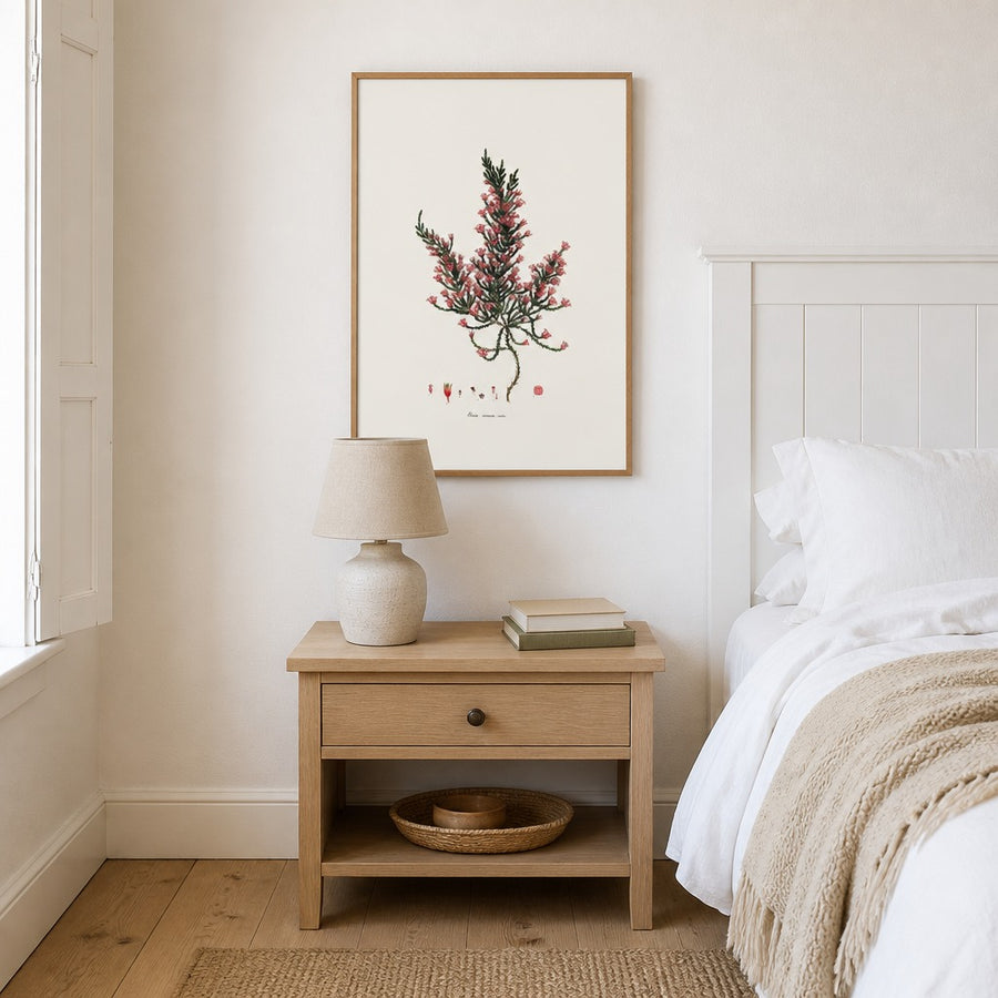 Cape Fynbos – Erica comosa rubra Art Print in a room setting