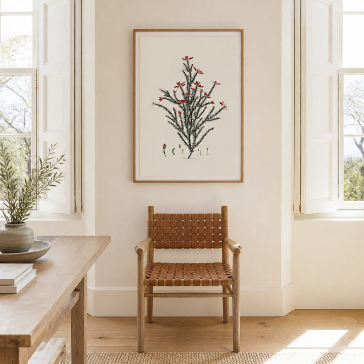 Erica comptoniana Cape fynbos art print framed in a South African farmhouse