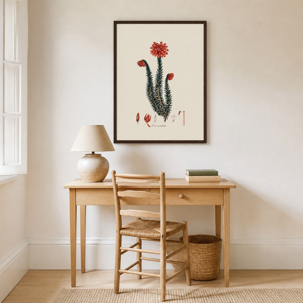 Erica corinthioides Cape fynbos art print framed in a South African farmhouse