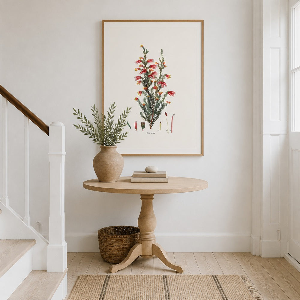 Erica costata Cape fynbos art print framed in a South African farmhouse