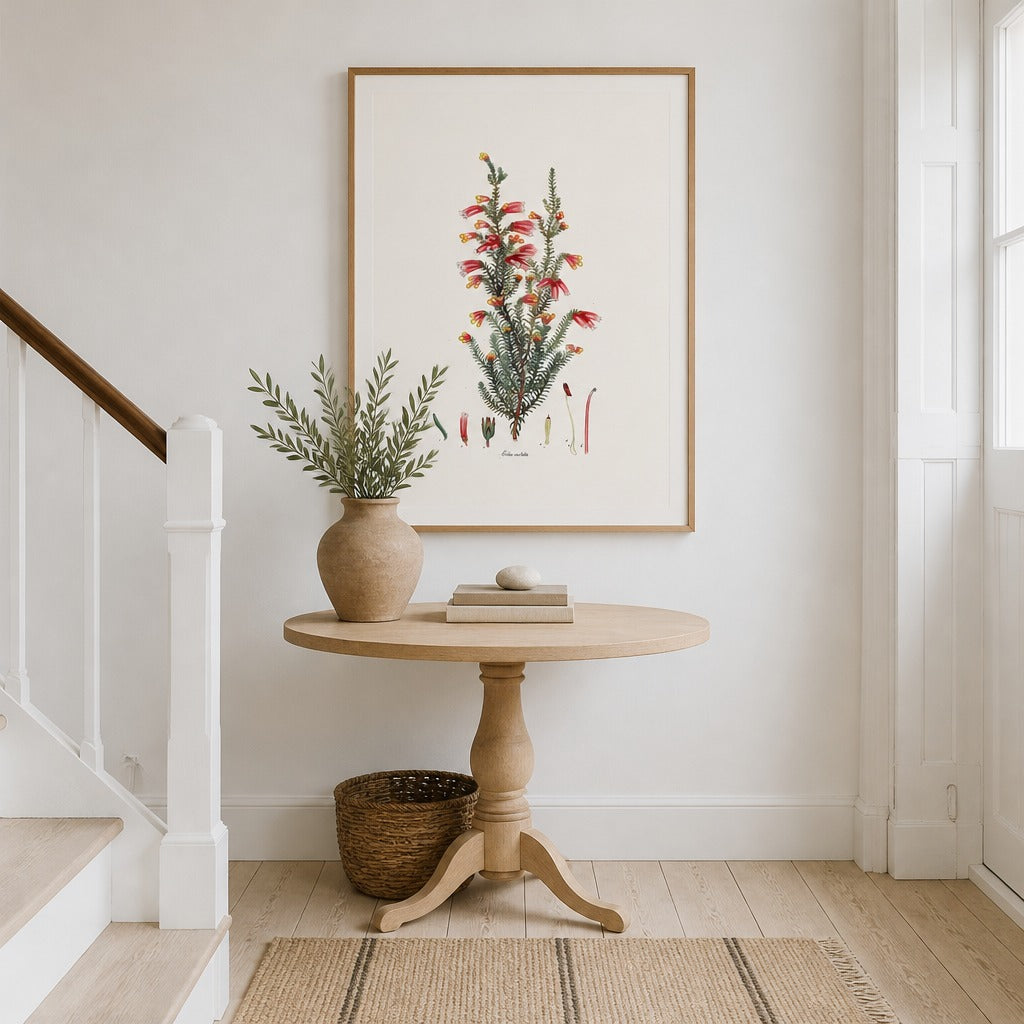 Erica costata Cape fynbos art print framed in a South African farmhouse
