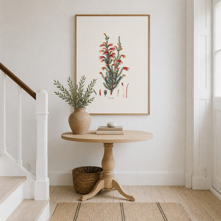 Erica costata Cape fynbos art print framed in a South African farmhouse