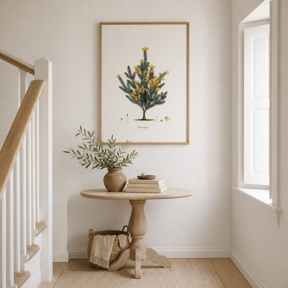 Erica cruciformis Cape fynbos art print framed in a South African farmhouse