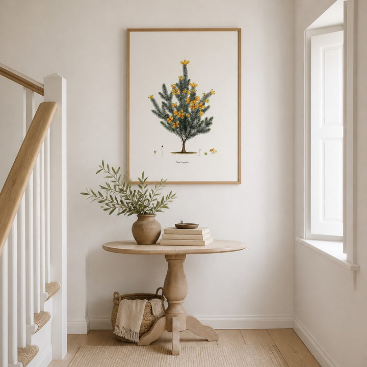 Erica cruciformis Cape fynbos art print framed in a South African farmhouse