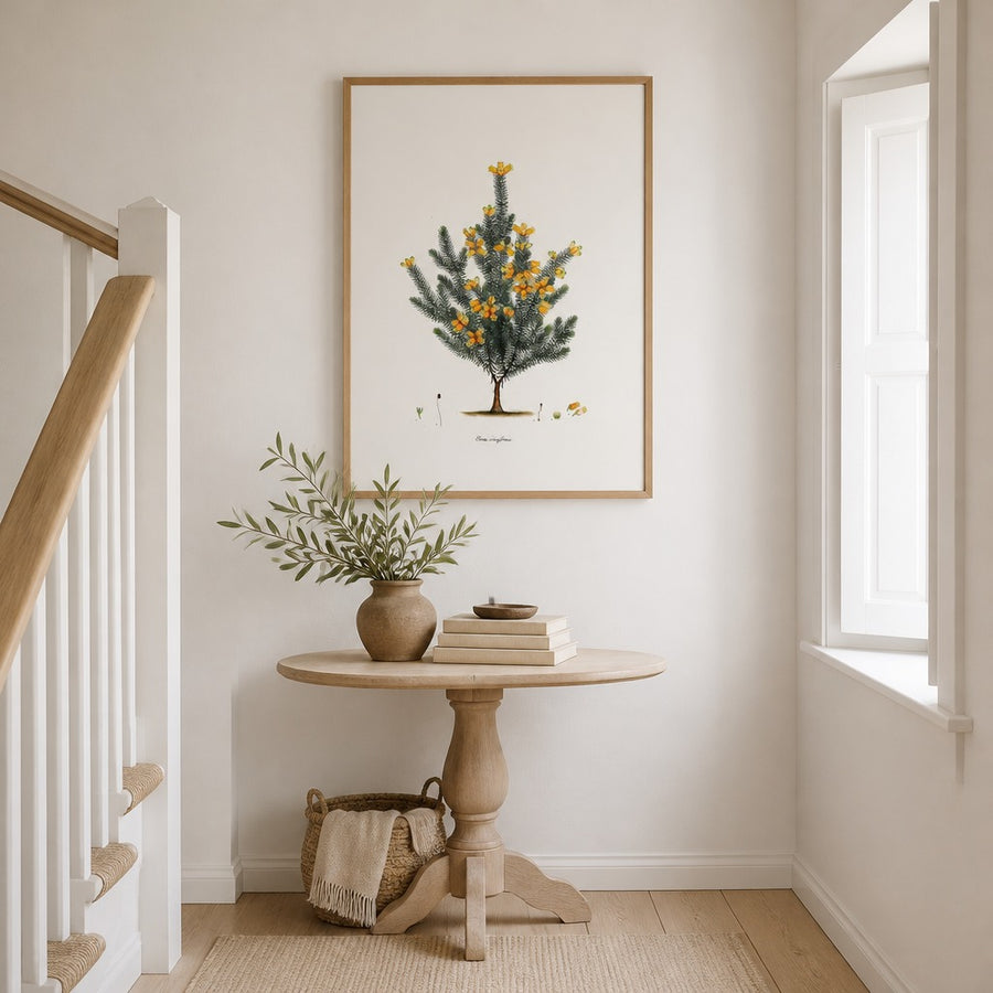 Cape Fynbos – Erica cruciformis Art Print in a room setting