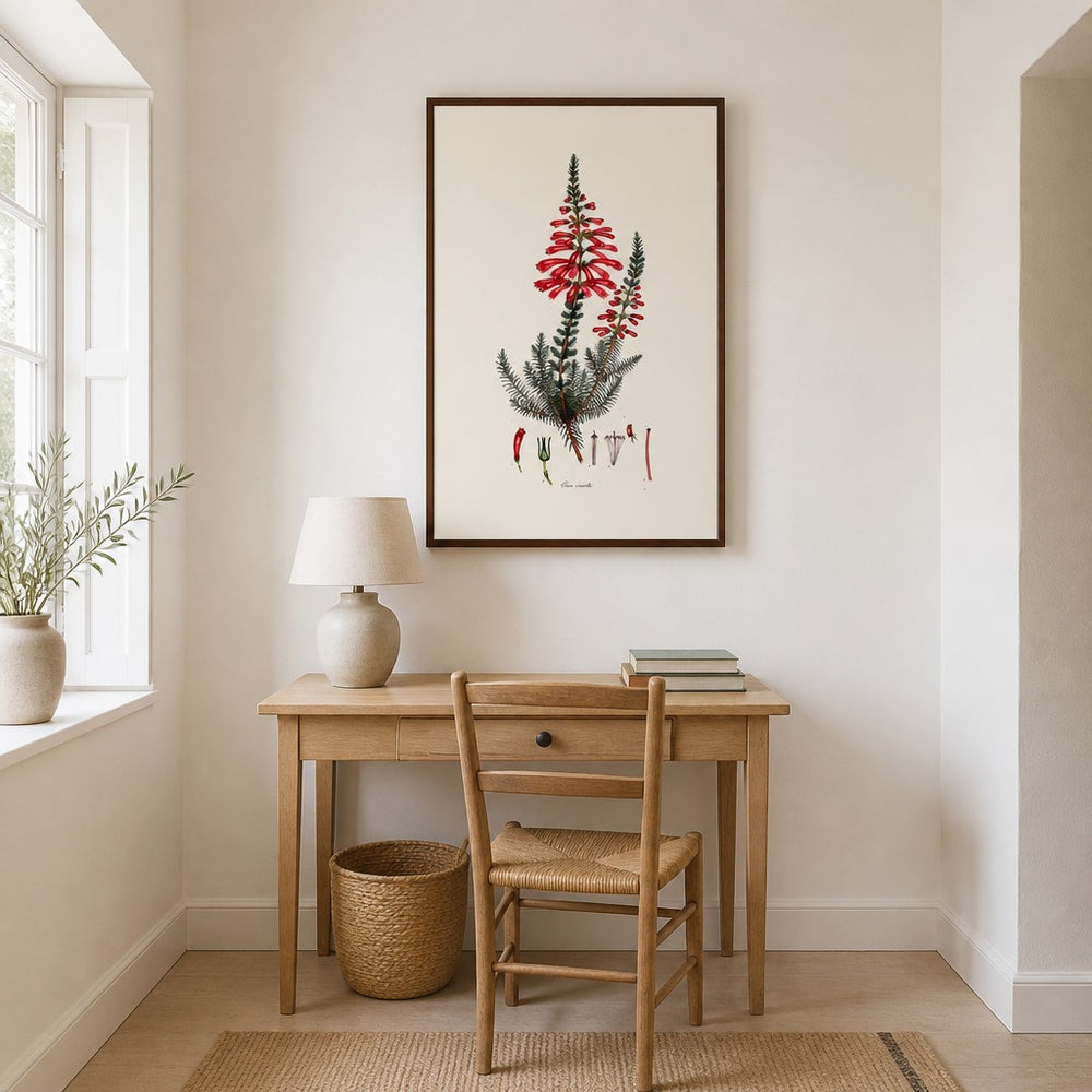 Erica cruenta Cape fynbos art print framed in a South African farmhouse