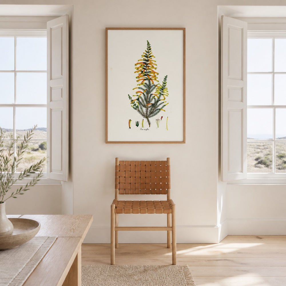 Erica curviflora Cape fynbos art print framed in a South African farmhouse