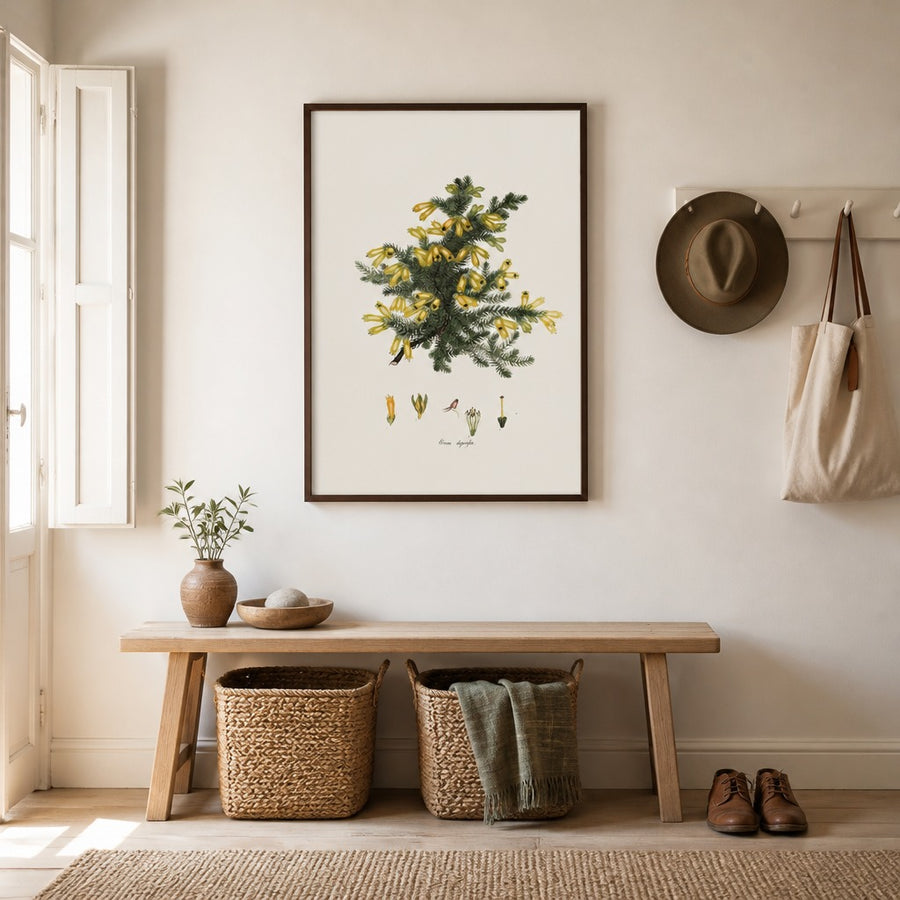Cape Fynbos – Erica depressa Art Print in a room setting