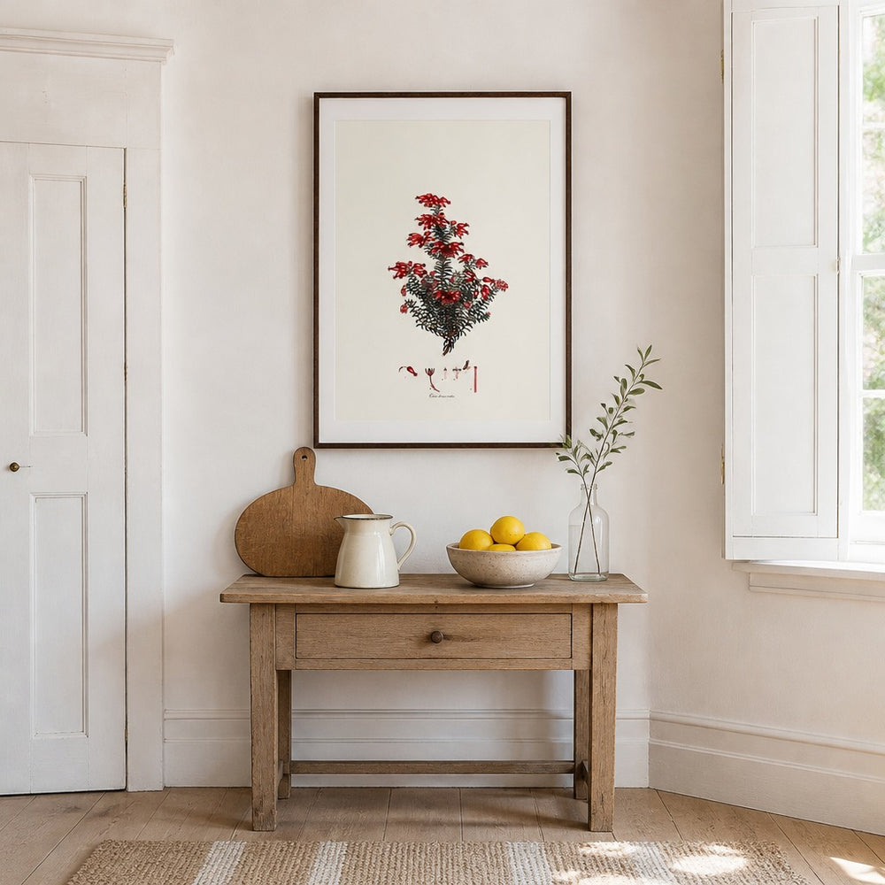 Erica droseroides Cape fynbos art print framed in a South African farmhouse